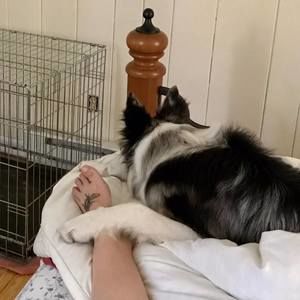 Meet your Posher, Minna